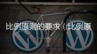 比例原則的要求（比例原則）