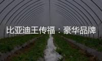 比亞迪王傳福：豪華品牌打骨折賣車丟人