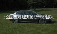比亞迪籌建知識產(chǎn)權(quán)組織 專利數(shù)據(jù)庫建立