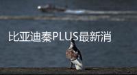 比亞迪秦PLUS最新消息 將于明年上市