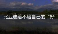 比亞迪給不給自己的“好朋友”提供電池？
