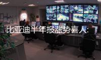 比亞迪半年報漲勢喜人:業務板塊深入變革