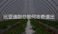 比亞迪副總裁何志奇退出迪滴新能源董事長