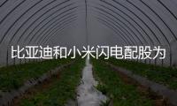 比亞迪和小米閃電配股為了什么 高位融資策略揭秘
