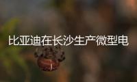 比亞迪在長沙生產(chǎn)微型電動(dòng)車 計(jì)劃產(chǎn)能30萬