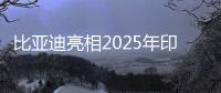 比亞迪亮相2025年印度尼西亞國(guó)際車展