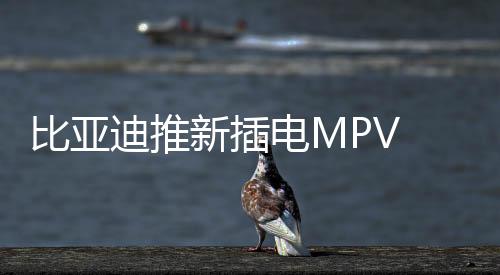 比亞迪推新插電MPV 百公里加速PK寶馬Z4