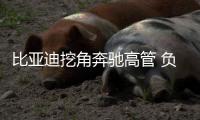 比亞迪挖角奔馳高管 負責比亞迪德國業務
