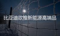 比亞迪欲推新能源高端品牌 新車或后年上市