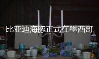 比亞迪海豚正式在墨西哥上市
