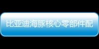 比亞迪海豚核心零部件配套供應商一覽