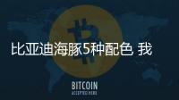 比亞迪海豚5種配色 我喜歡噗噗粉 您呢？