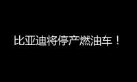 比亞迪將停產燃油車！