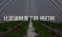 比亞迪銷量下跌 將打響產品“大年”反擊戰