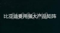 比亞迪要用強大產品矩陣 提振中國車市