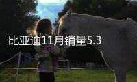 比亞迪11月銷量5.39萬輛 同比下滑約11.37%