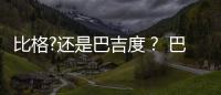 比格?還是巴吉度？ 巴吉度價格表和