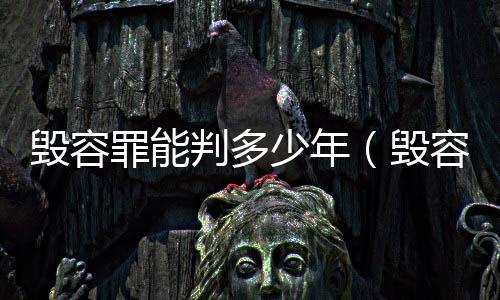 毀容罪能判多少年(毀容罪)