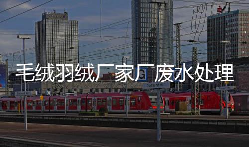 毛絨羽絨廠家廠廢水處理設(shè)備及方法（羽絨廠污水處理方法方案介紹）