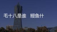 毛十八是誰   鰻魚什么梗