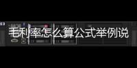 毛利率怎么算公式舉例說明（毛利率怎么算）