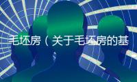 毛坯房（關于毛坯房的基本情況說明介紹）