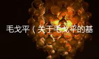 毛戈平（關(guān)于毛戈平的基本情況說明介紹）