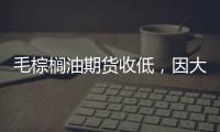 毛棕櫚油期貨收低，因大豆收割加速且馬幣反彈