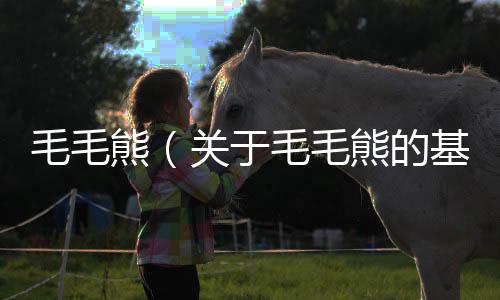 毛毛熊（關于毛毛熊的基本情況說明介紹）