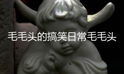 毛毛頭的搞笑日常毛毛頭