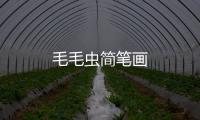 毛毛蟲簡(jiǎn)筆畫