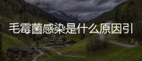 毛霉菌感染是什么原因引起的(霉菌感染長什么樣)