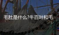 毛肚是什么?牛百葉和毛肚是一樣的嗎?(牛的瘤胃部分)