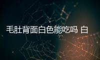 毛肚背面白色能吃嗎 白色是油筋(口感軟糯/入口即化)