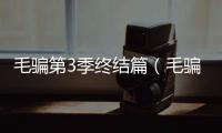 毛騙第3季終結篇（毛騙第3季）