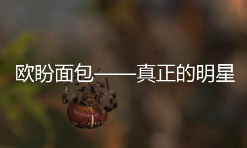 歐盼面包——真正的明星產(chǎn)品!