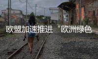 歐盟加速推進“歐洲綠色協議”