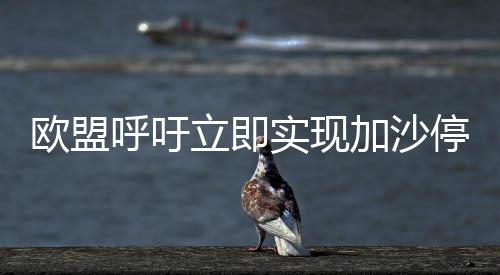 歐盟呼吁立即實現加沙?；?，將繼續討論以色列違反人權條款問題