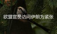 歐盟官員訪問伊朗為緊張局勢降溫