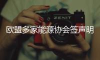 歐盟多家能源協(xié)會(huì)簽聲明確定未來(lái)能源目標(biāo)