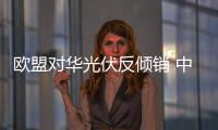 歐盟對華光伏反傾銷 中國相關部門反制必須嚴厲,行業資訊