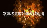 歐盟將復(fù)審對(duì)華反傾銷措施 貿(mào)易保護(hù)中國(guó)頻受傷
