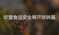 歐盟食品安全局開放轉基因玉米數據