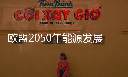 歐盟2050年能源發展規劃轉向可再生能源領域
