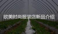歐美時(shí)尚服裝店新品介紹,歐美時(shí)尚大牌服裝海報(bào)
