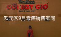 歐元區9月零售銷售額同比下降2.9%