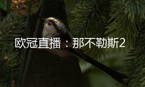 歐冠直播：那不勒斯2