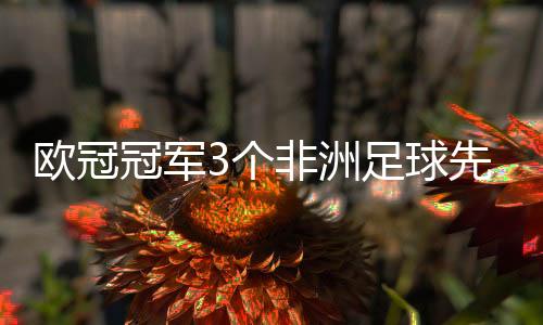 歐冠冠軍3個非洲足球先生2個奧運會冠軍1個基本資訊