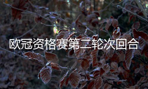 歐冠資格賽第二輪次回合：卡拉巴赫vs琴斯托霍瓦