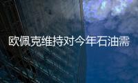 歐佩克維持對今年石油需求增長預期